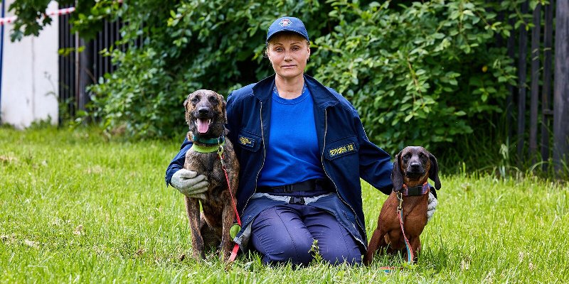 Бесценный опыт: столичные кинологи о том, как научить собаку спасению