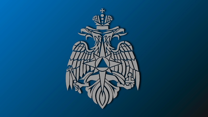 Владимир Путин назначил врио главы МЧС России Александра Чуприяна