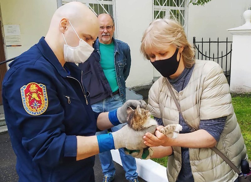 Летучие мыши, лошади и лисы: около 500 животных и птиц спасли за год в Москве